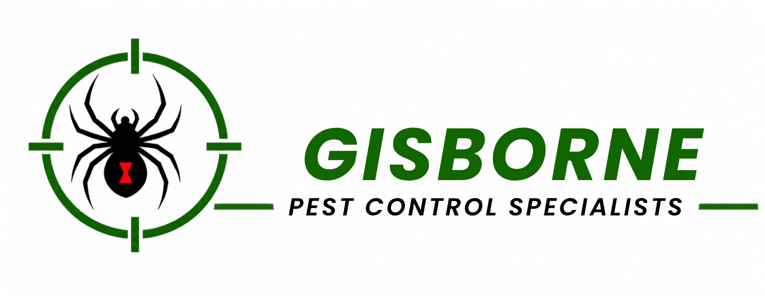 Pest Control Gisborne